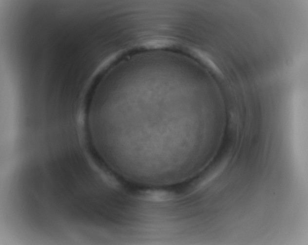 X0000114420539200910231208