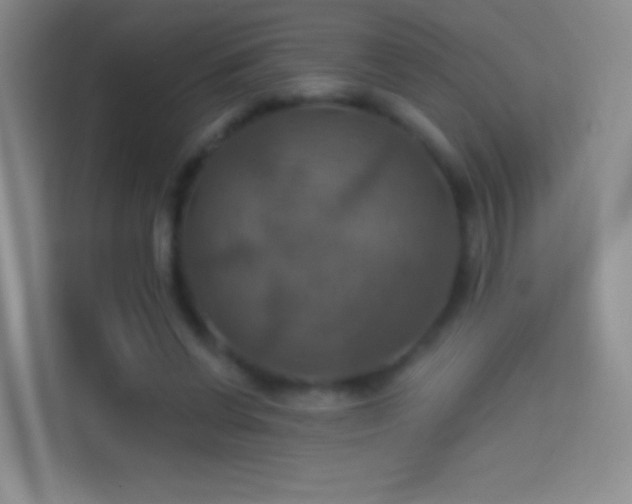 X0000114420542200910231208