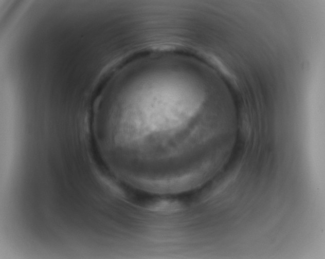 X0000114420543200910231208