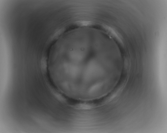 X0000114420545200910231208