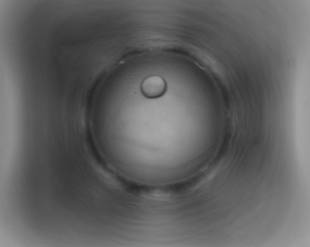 X0000114420546200910231208
