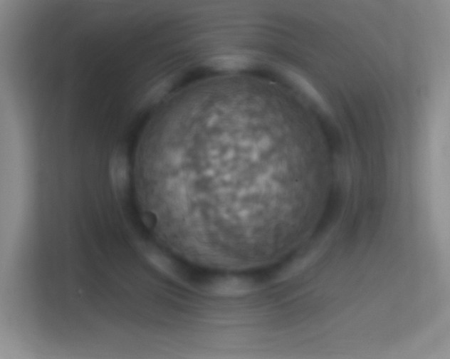 X0000114420549200910231208