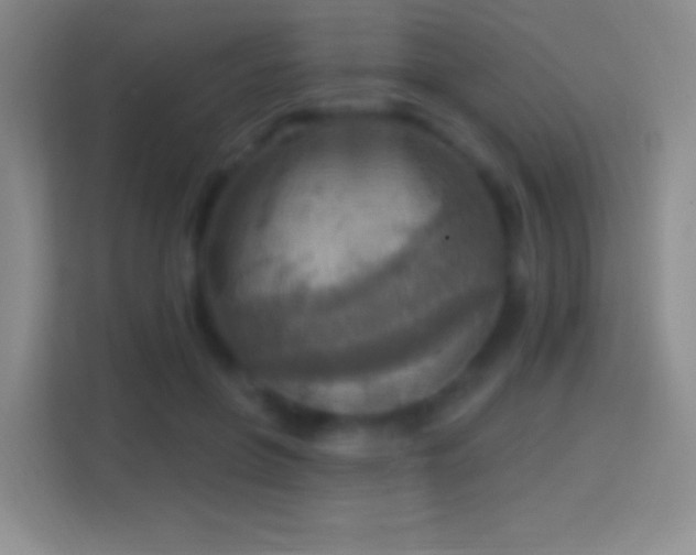 X0000114420551200910231208