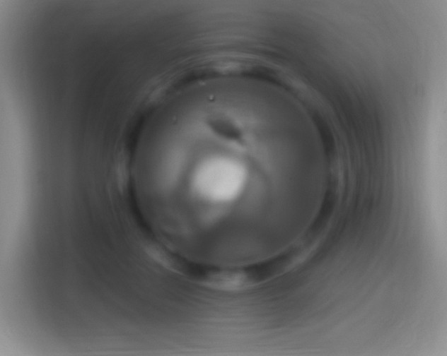 X0000114420554200910231208