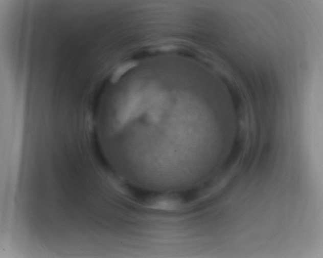 X0000114420555200910231208