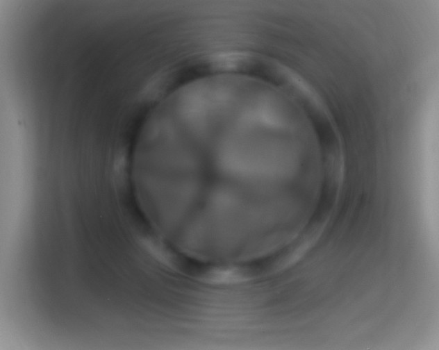 X0000114420557200910231208