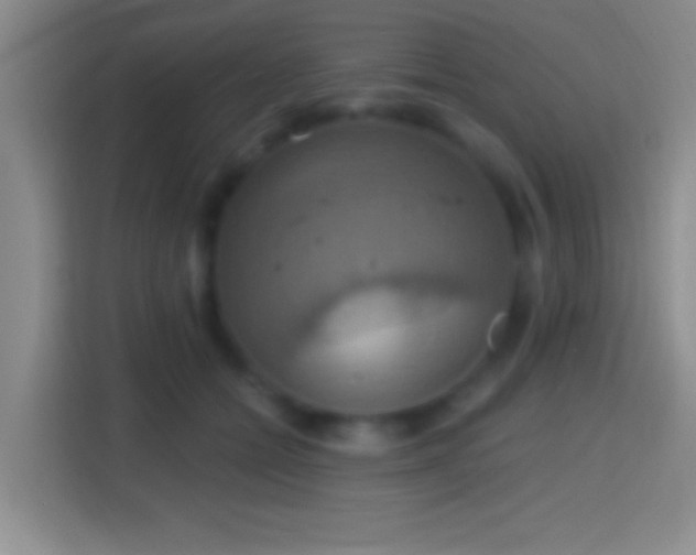 X0000114420558200910231208