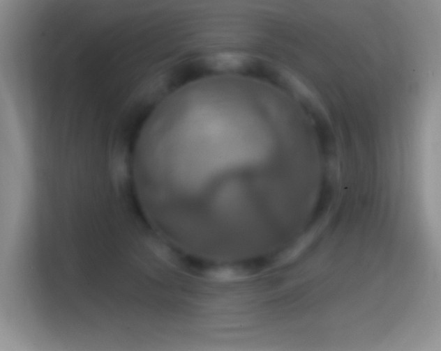 X0000114420561200910231208
