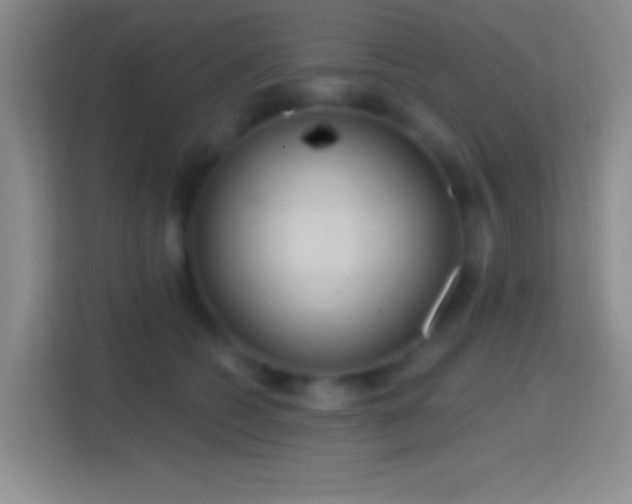 X0000114420562200910231208