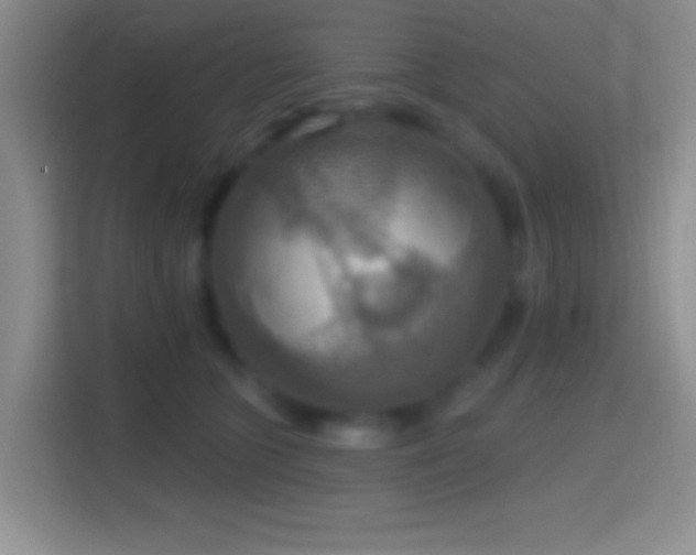X0000114420563200910231208