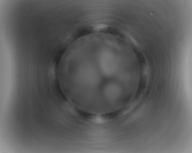 X0000114420565200910231208