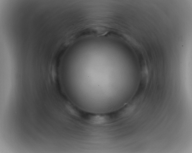 X0000114420566200910231208