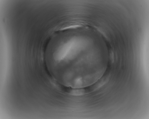 X0000114420571200910231208
