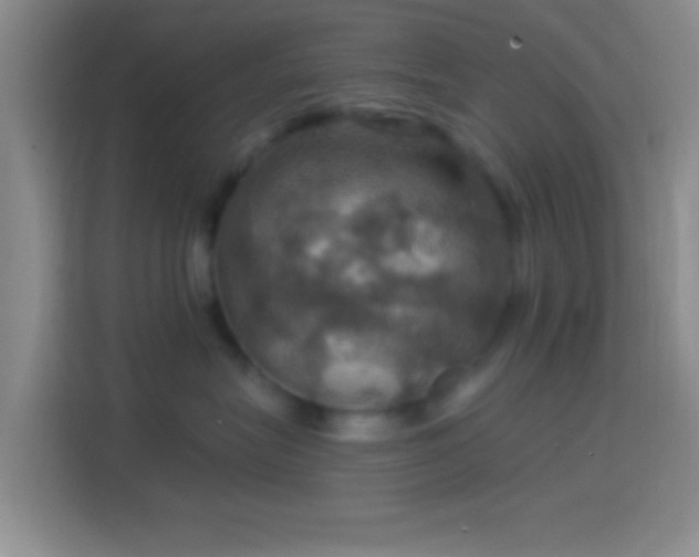 X0000114420575200910231209