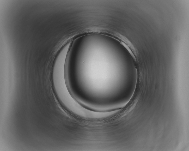 X0000114420577200910231208