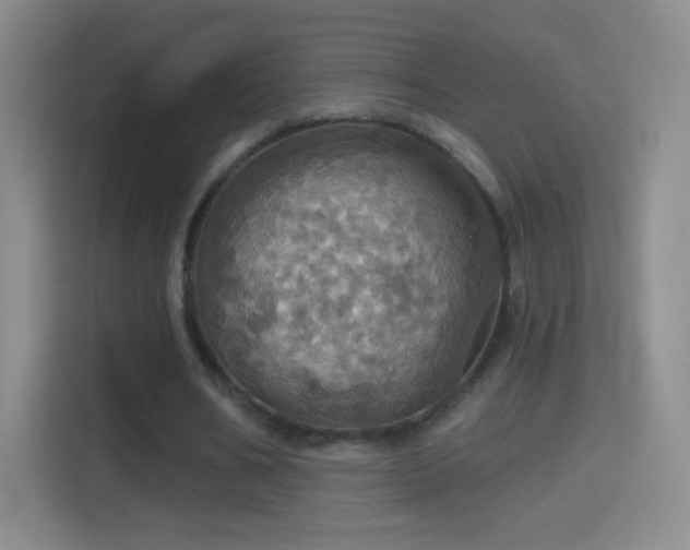 X0000114420578200910231208