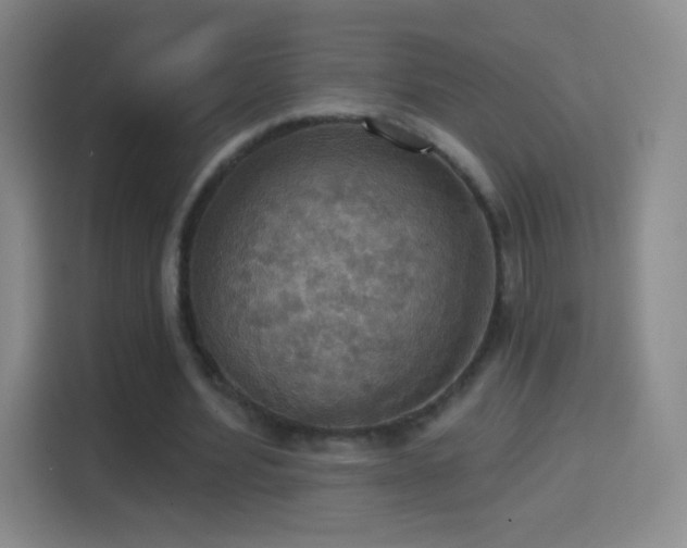 X0000114420580200910231208