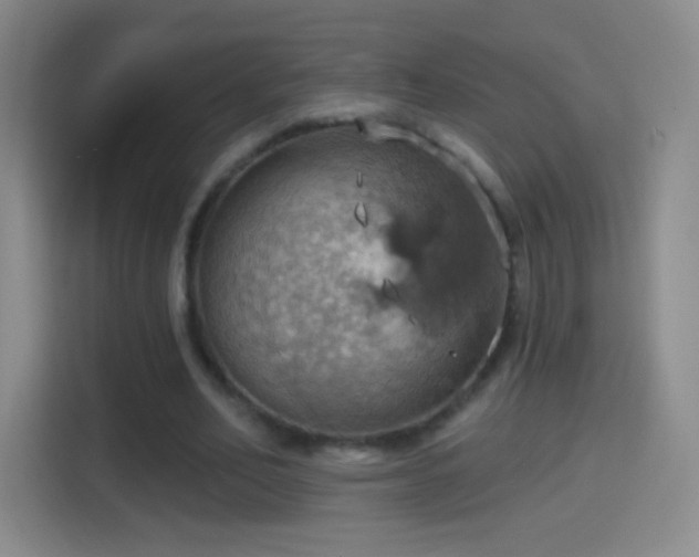 X0000114420582200910231208