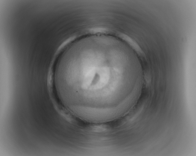 X0000114420583200910231208