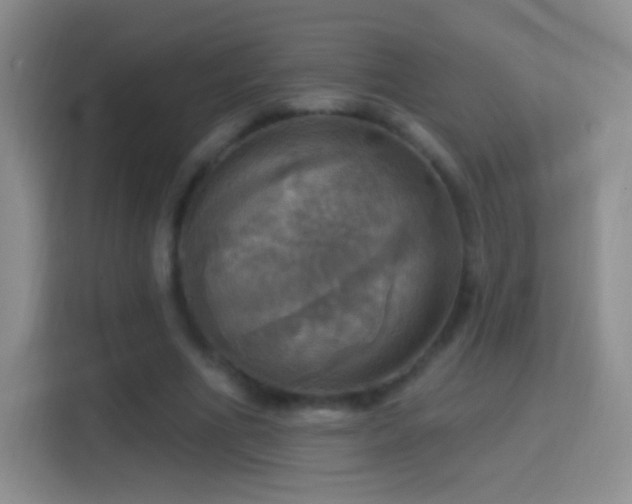 X0000114420586200910231208