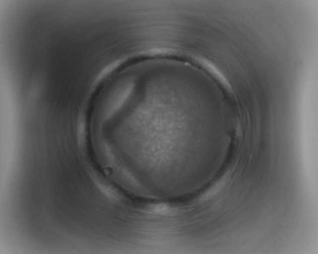 X0000114420588200910231208
