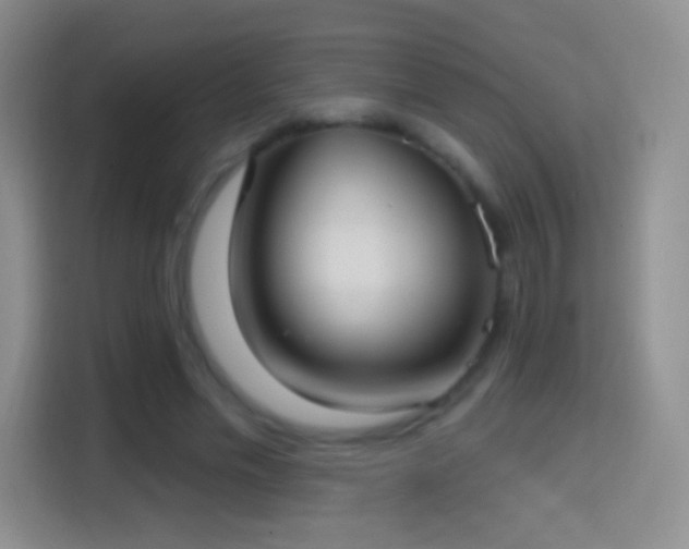 X0000114420589200910231208