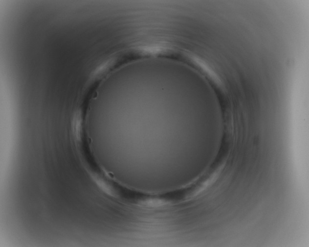 X0000114420590200910231208