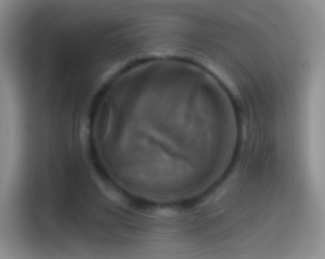 X0000114420592200910231208