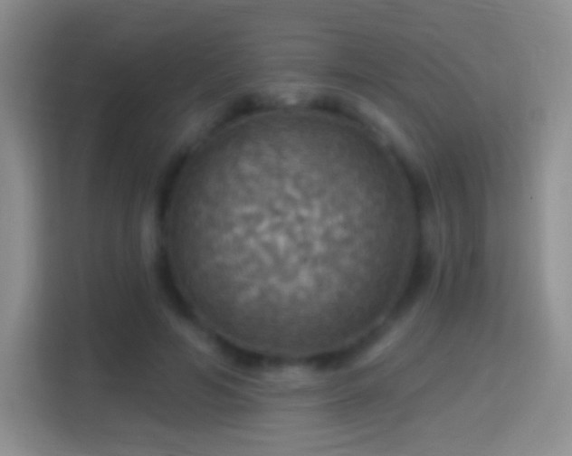 X0000114420594200910231208