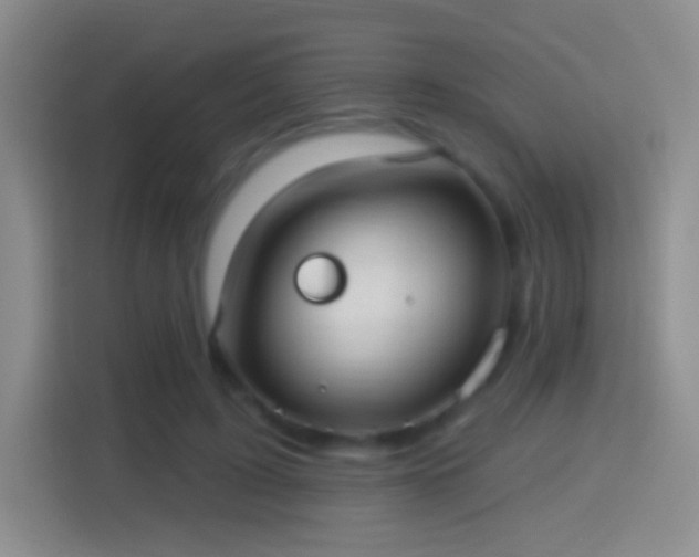 X0000114420595200910231208