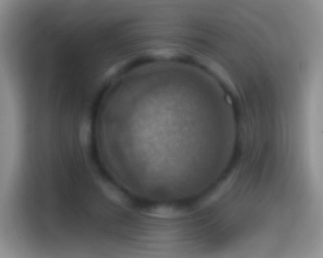 X0000114420596200910231208
