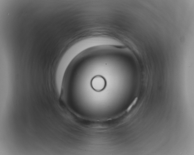 X0000114420597200910231208