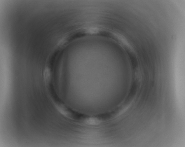 X0000114420598200910231208