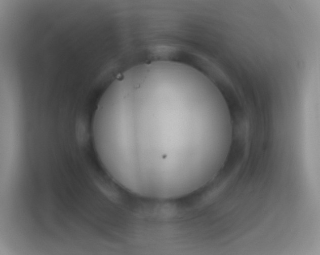 X0000114420599200910231208
