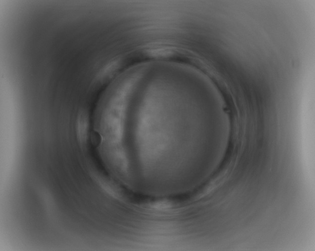 X0000114420600200910231208