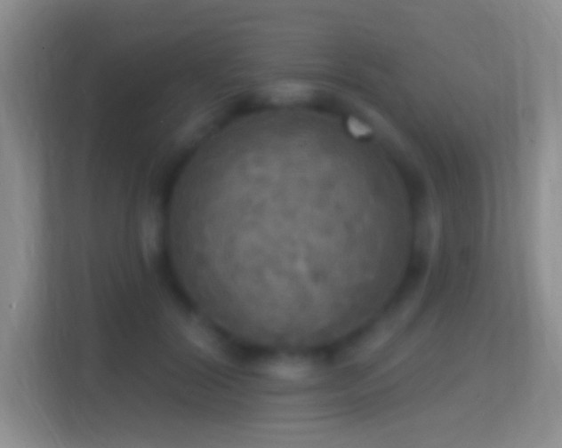 X0000114420604200910231208