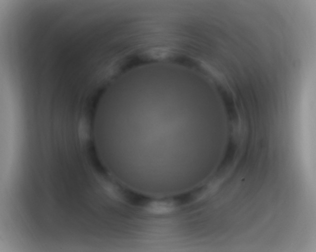 X0000114420606200910231208