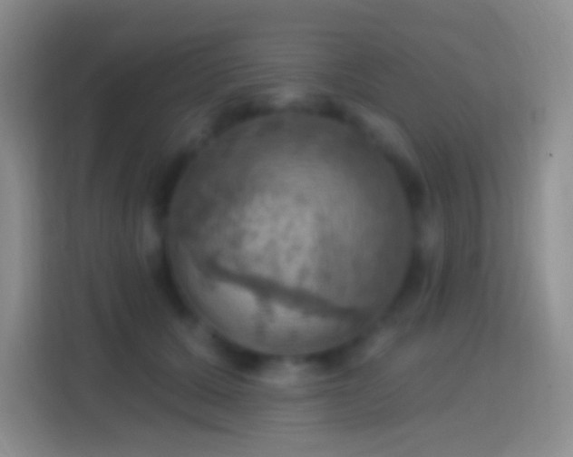 X0000114420607200910231208