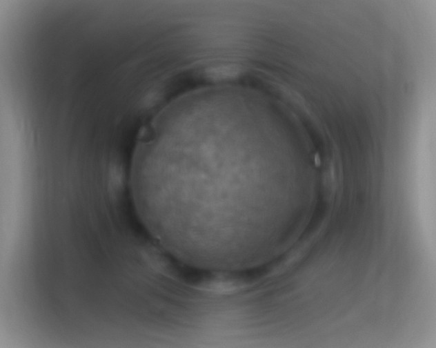 X0000114420608200910231208