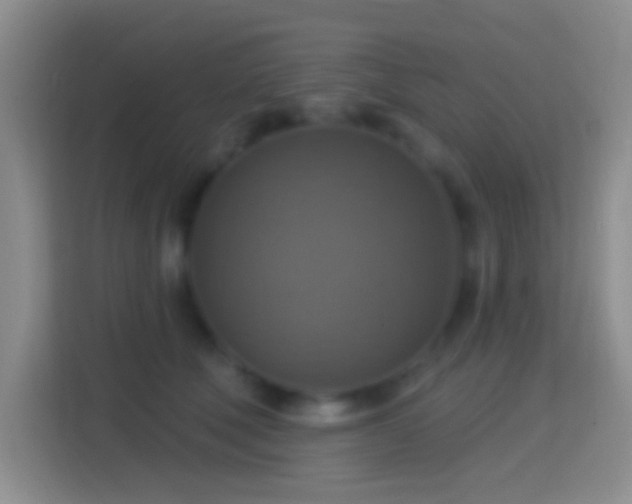 X0000114420610200910231208