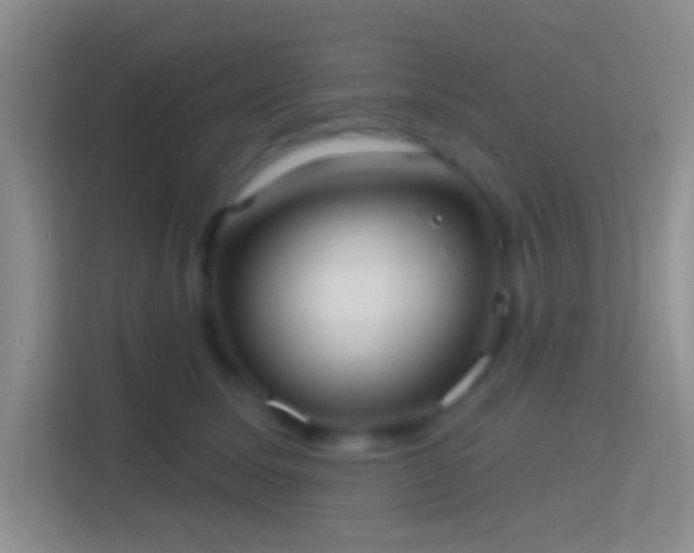 X0000114420611200910231207