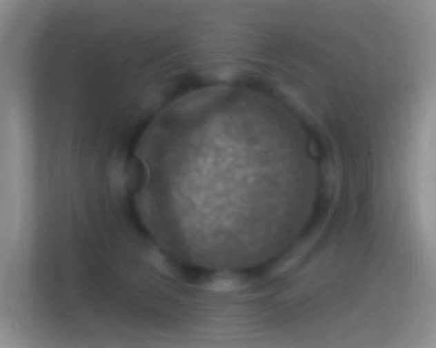 X0000114420612200910231207