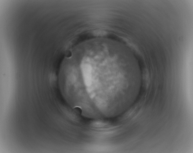 X0000114420614200910231207