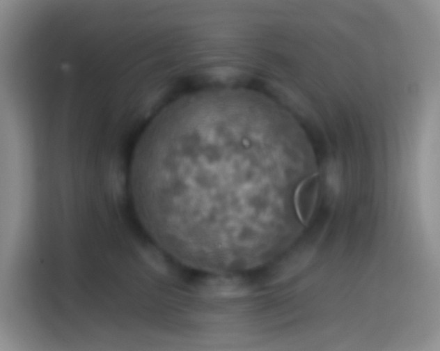 X0000114420615200910231207