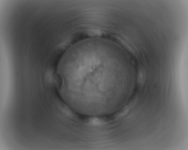 X0000114420616200910231207