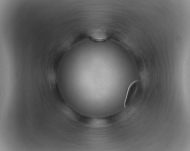 X0000114420617200910231207