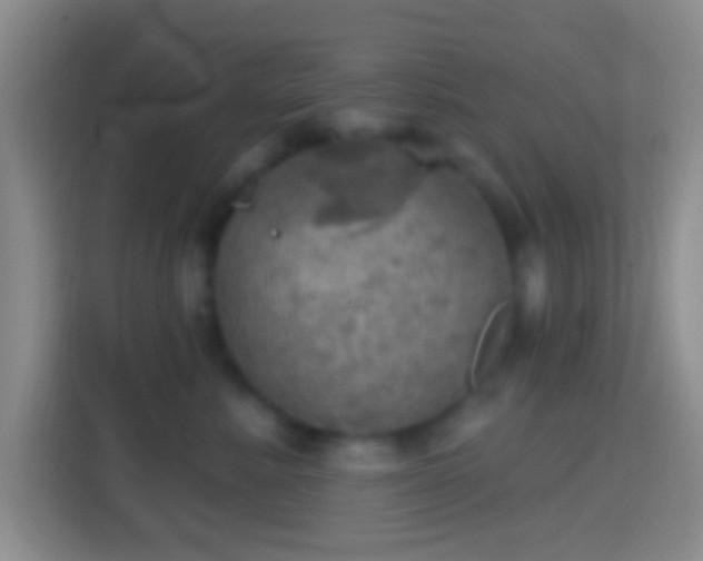 X0000114420619200910231207
