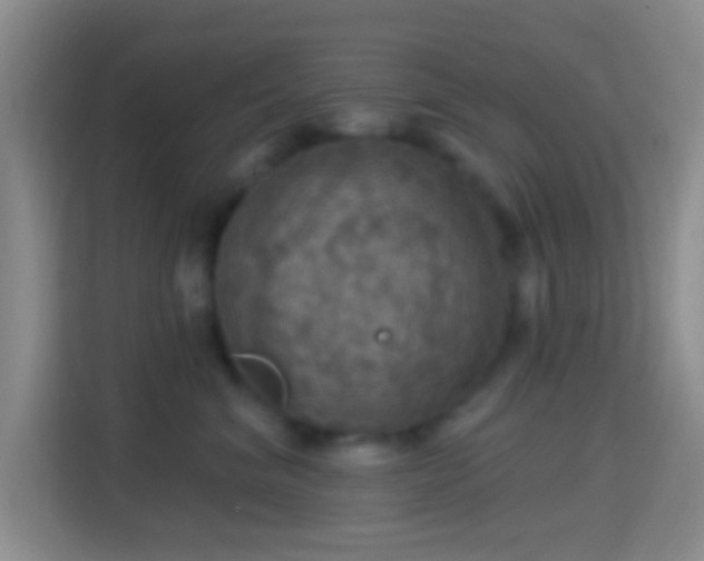 X0000114420620200910231207