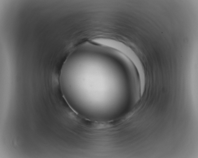 X0000114420621200910231207