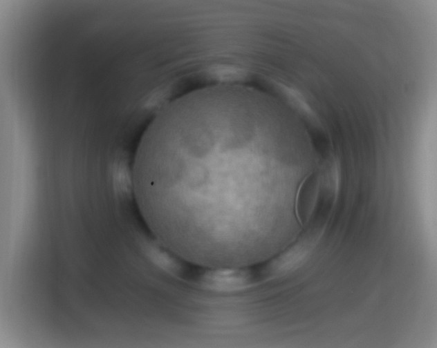 X0000114420622200910231207